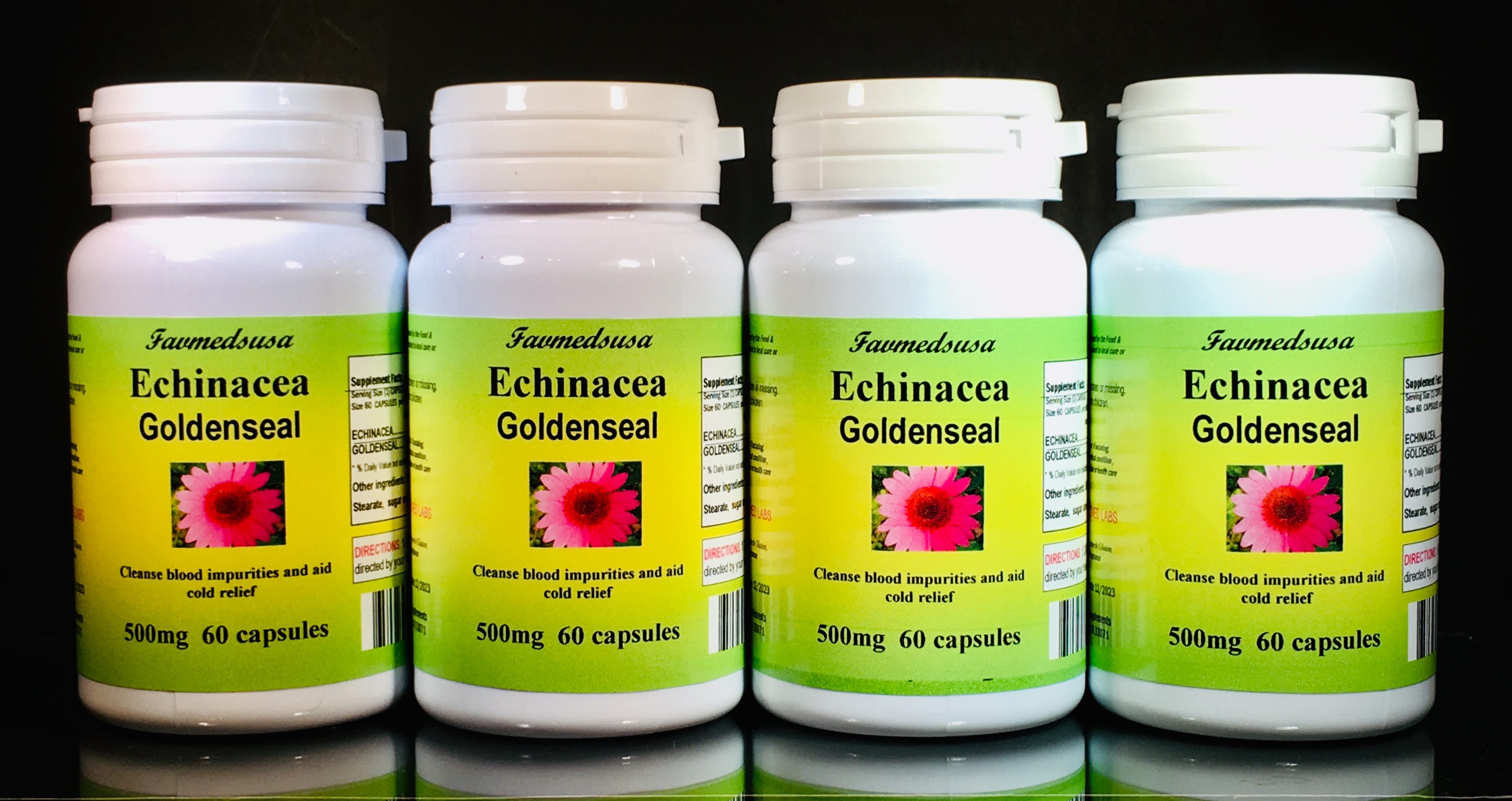 Echinacea Goldenseal - 240 (4x60) capsules